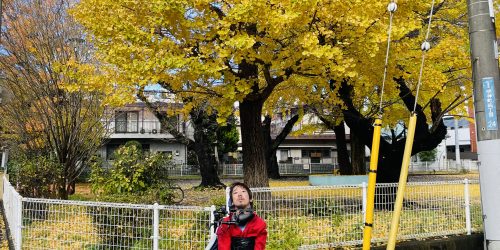 黄色い紅葉の木の下にいる僕