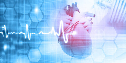心臓と心電図のイラスト