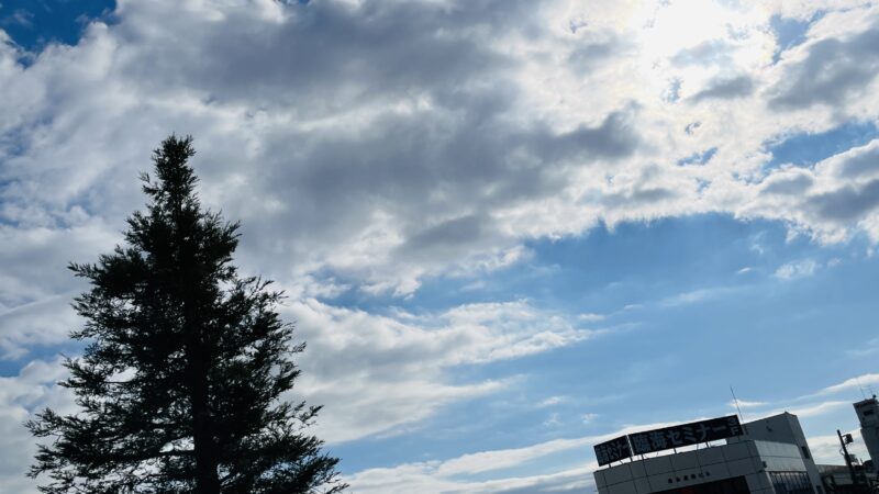 青空と雲と木が写っている写真