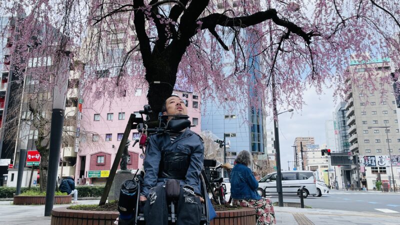 桜の木の下にいる僕の写真