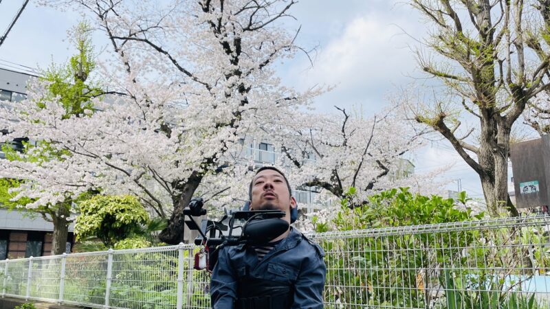 桜の木を背にしている僕が写っている写真
