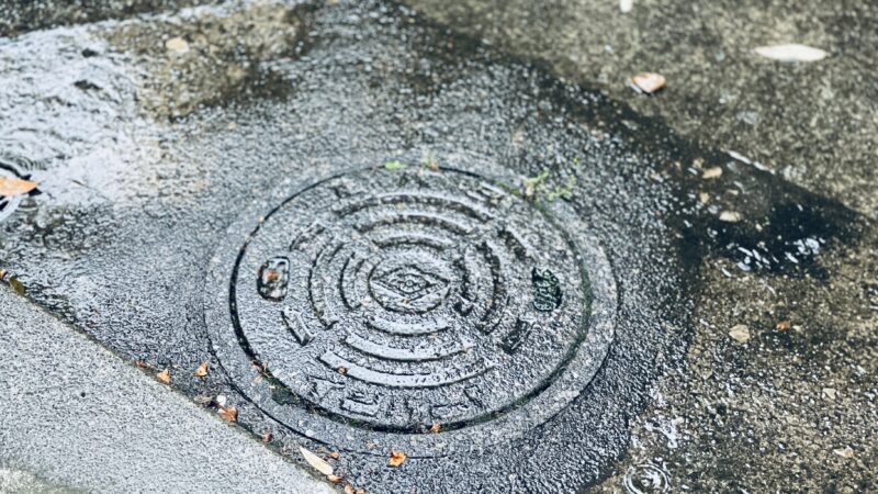 雨に濡れている地面の写真