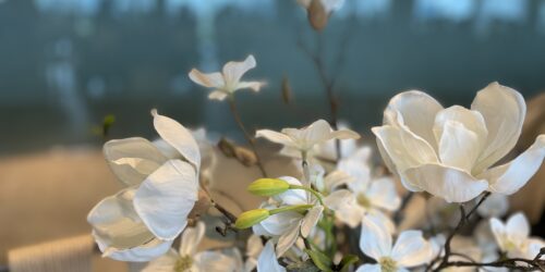 挙式場にあった花の写真