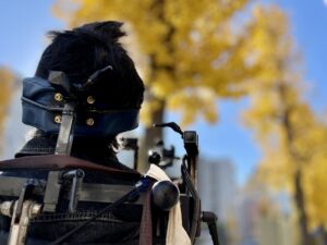 銀杏の葉を見ている僕の後ろ姿