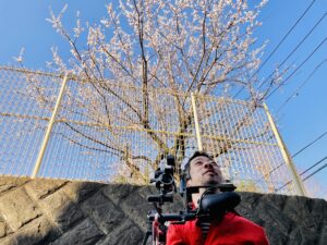 桜の木の下にいる僕