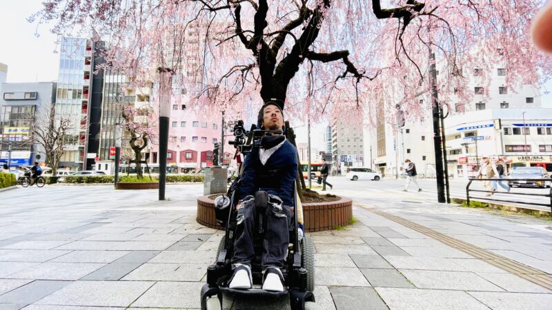 桜の木の下にいる僕