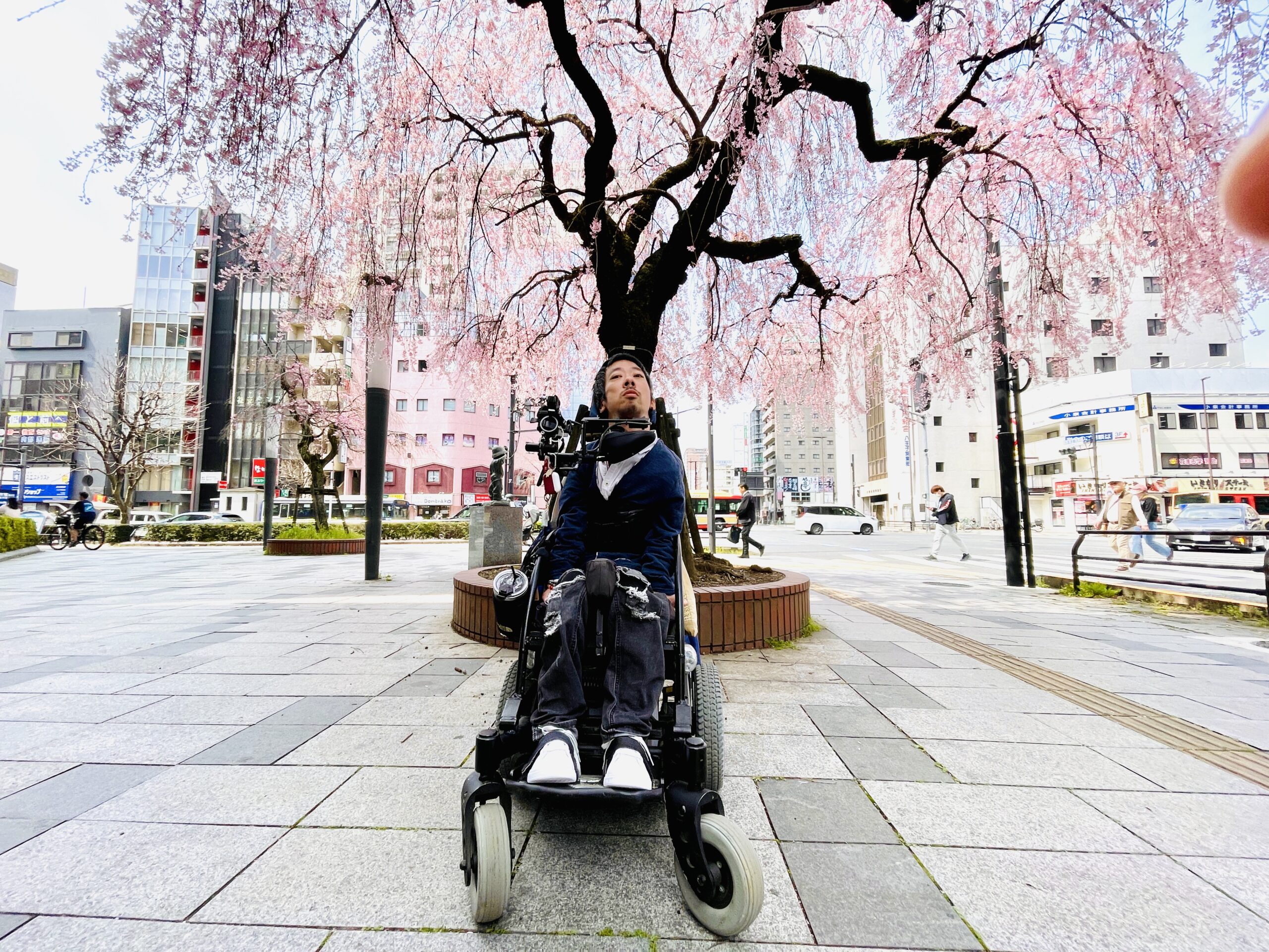 桜の木の下にいる僕