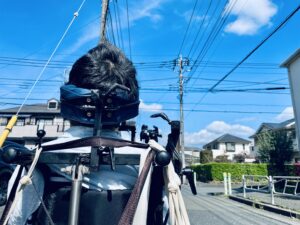 青空を見ている僕