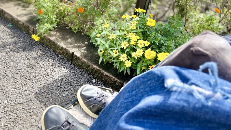 花と自分の足